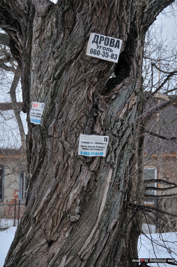 усадьба Авдотьино