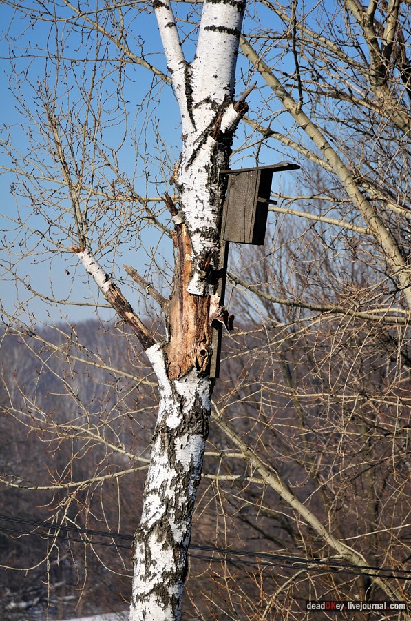 усадьба Старбеево
