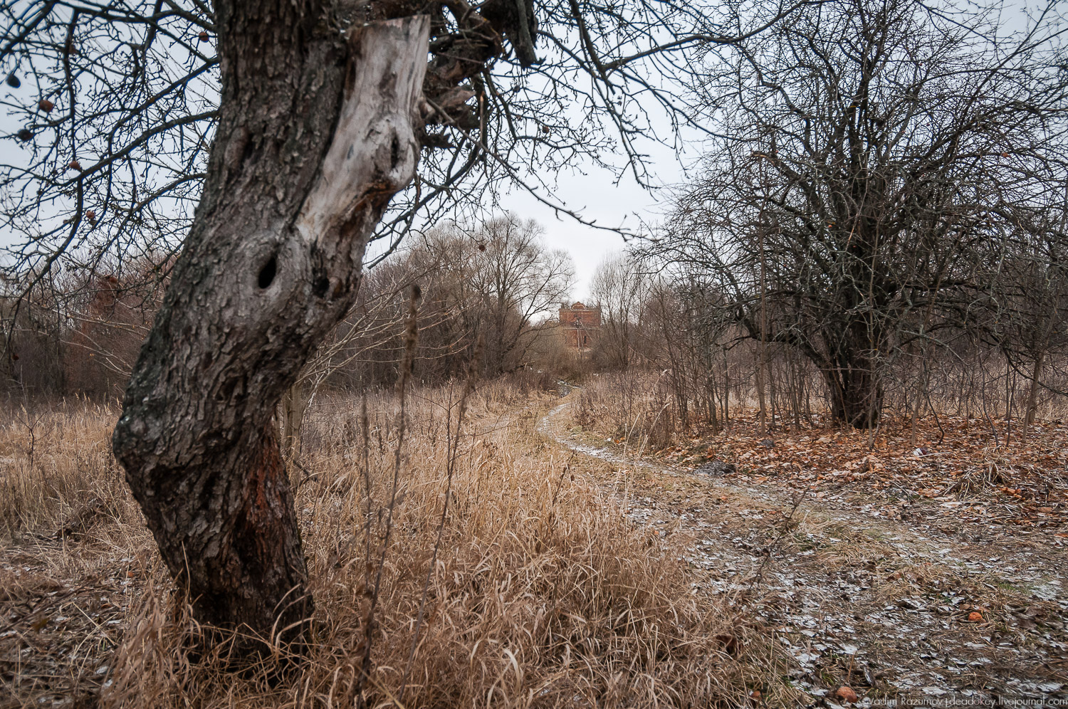 усадьба Студенец, Тульская область, Веневский район