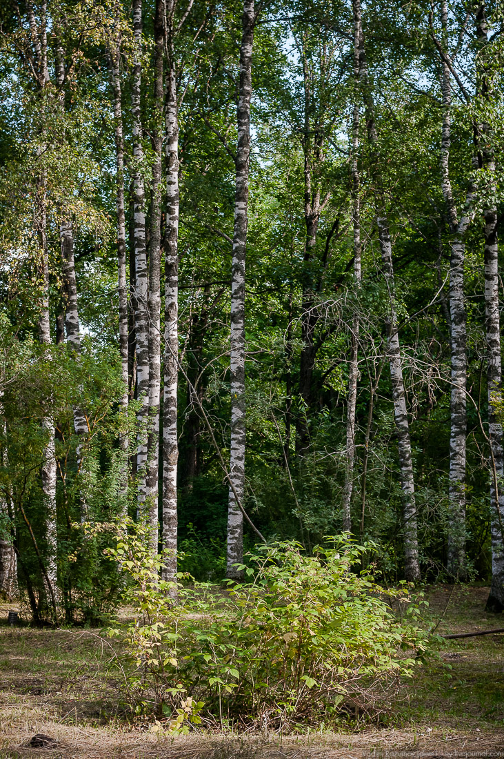 усадьба Барсуково