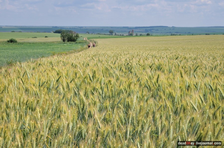 усадьба Подолец