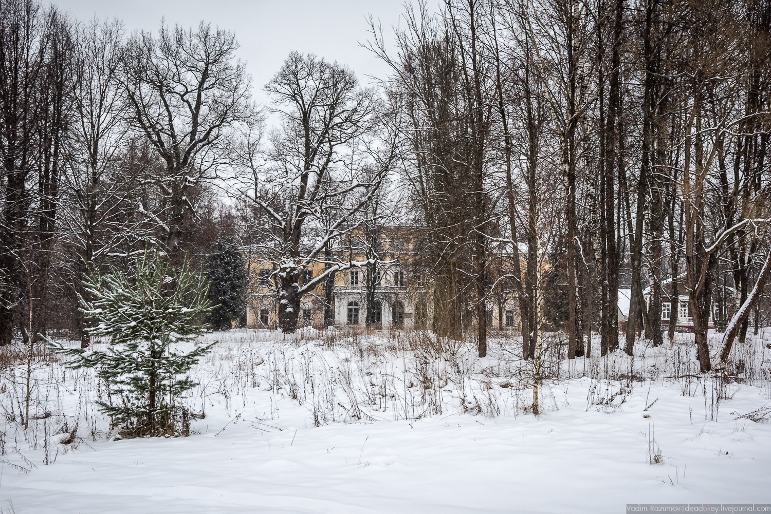 усадьба Знаменское-Садки