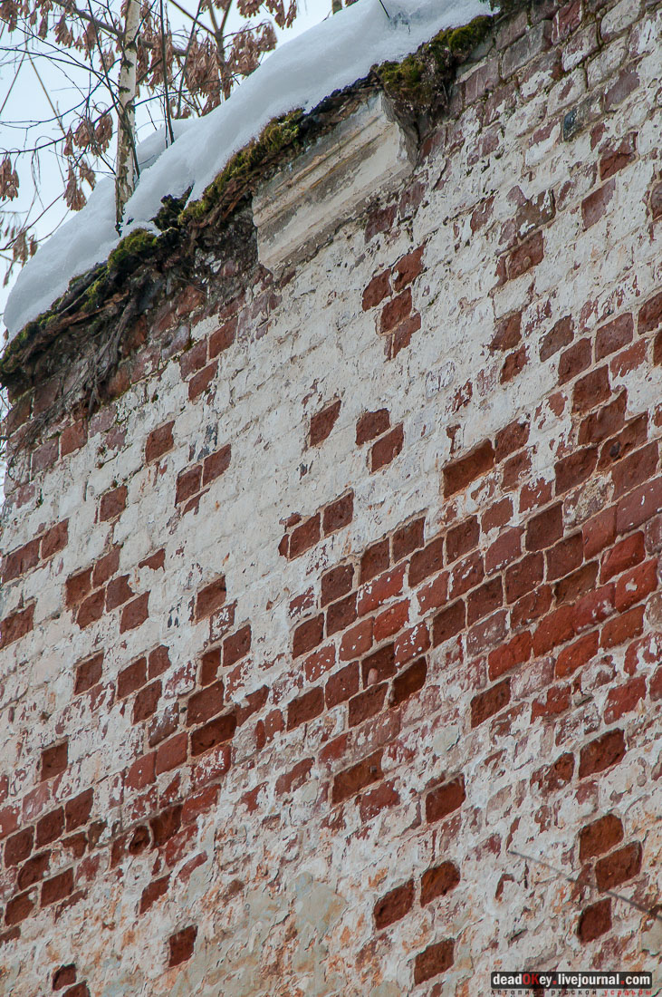 усадьба Гребнево, больничный комплекс