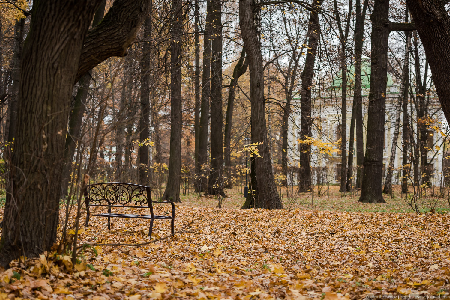 усадьба Кусково, осень 2018 года
