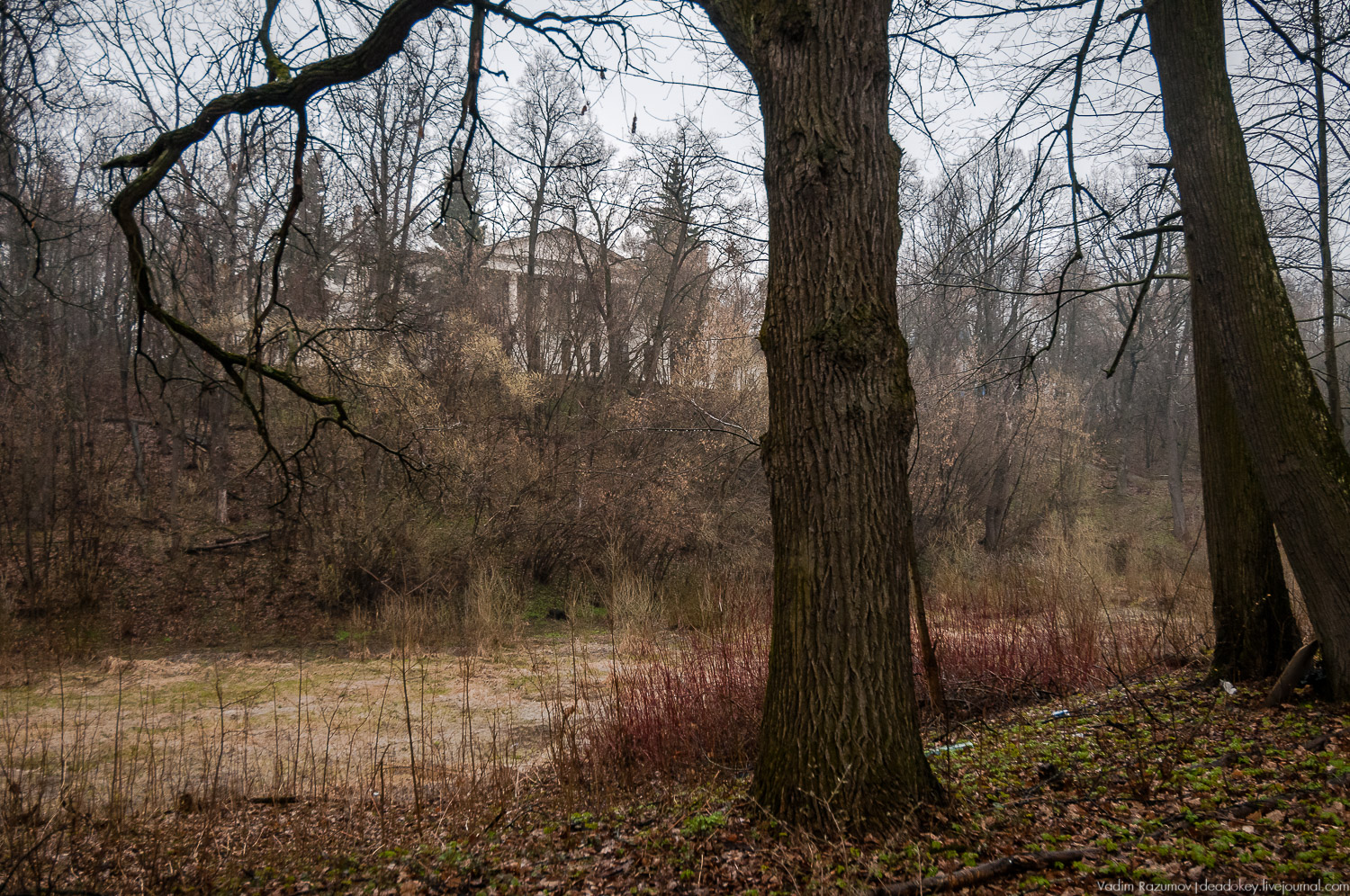 усадьба Петрово (Дурнево, Петрово-Дальнее), Красногорский район, Московская область