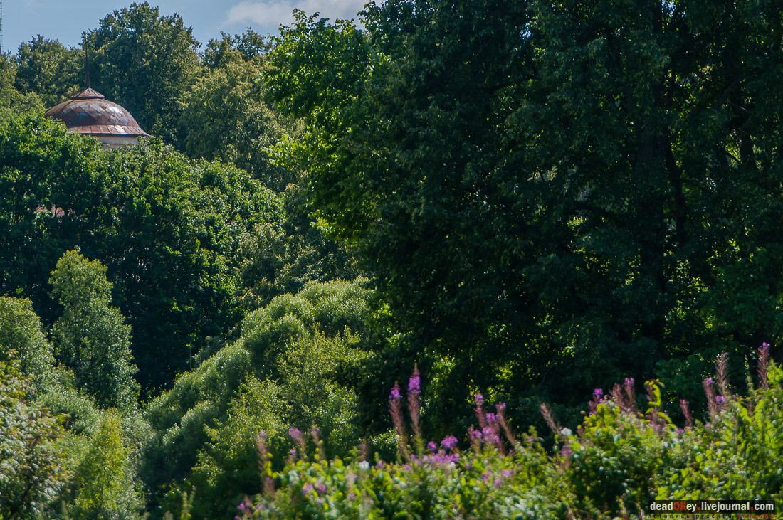 усадьба Васильевское Повалишиных