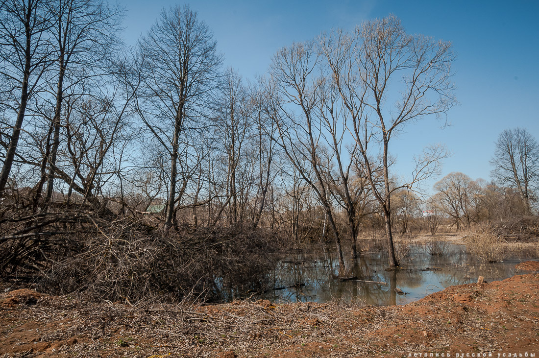 усадьба Бабкино