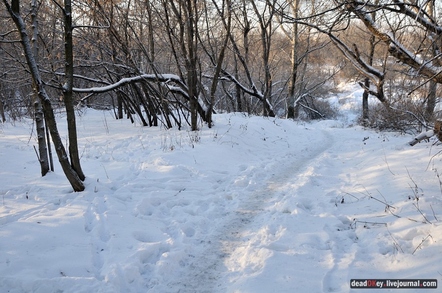 усадьба Люберцы