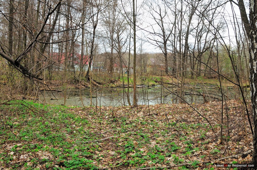 усадьба Антипино