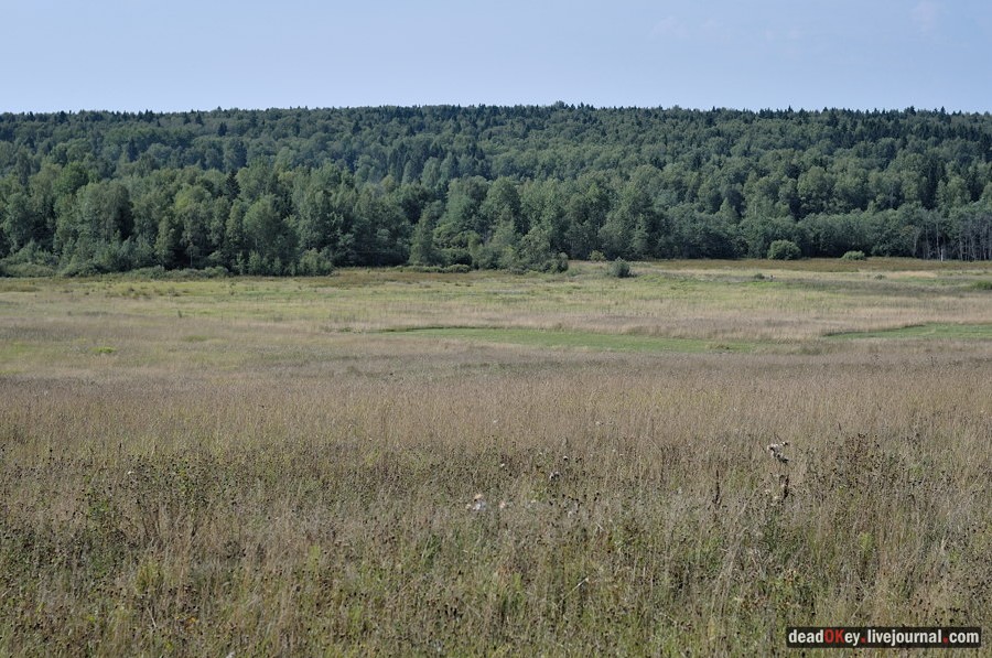 усадьба Хомяково