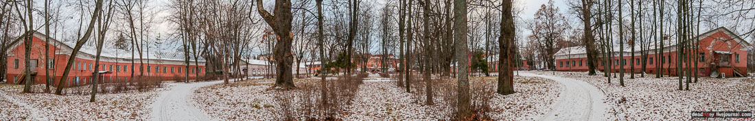 усадьба Ольгово