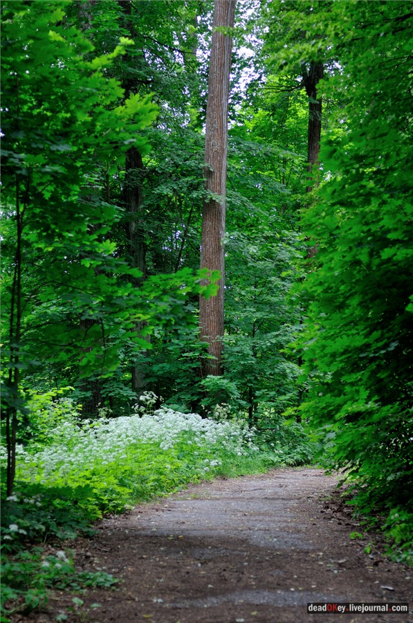усадьба Паньково