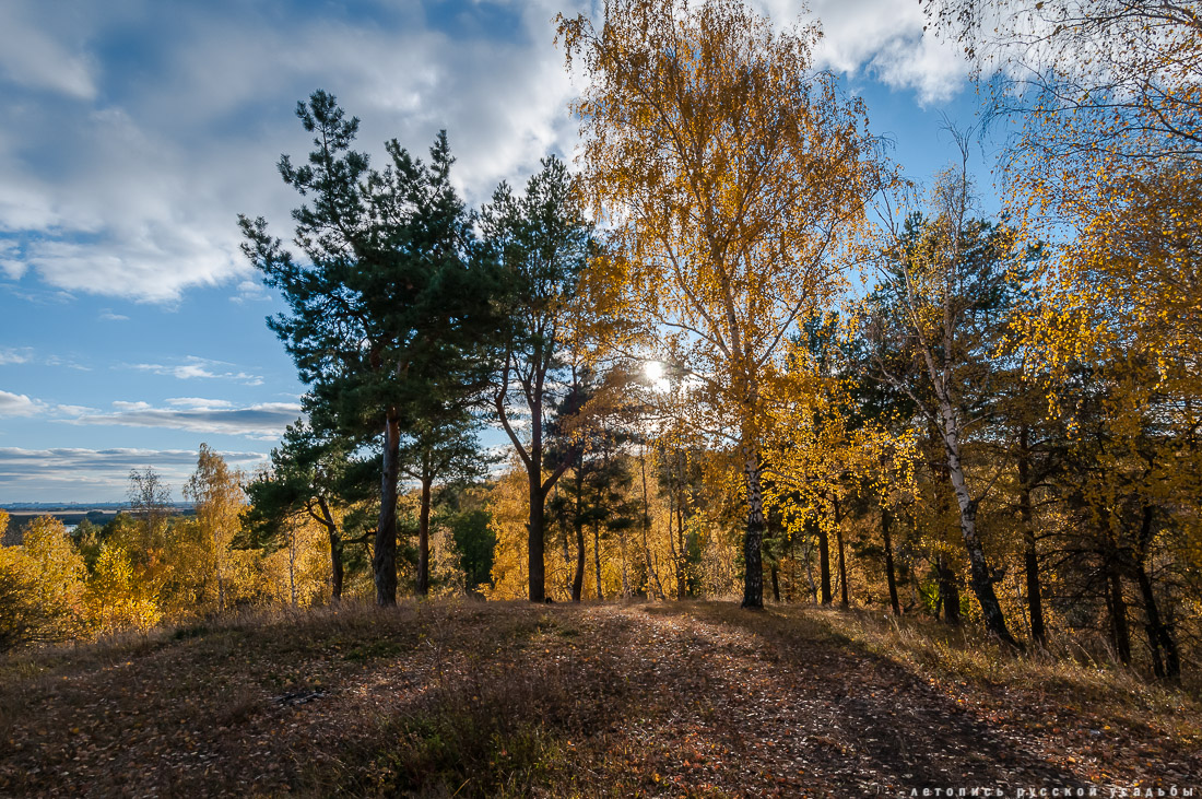 Усадебный экспресс в Константиново