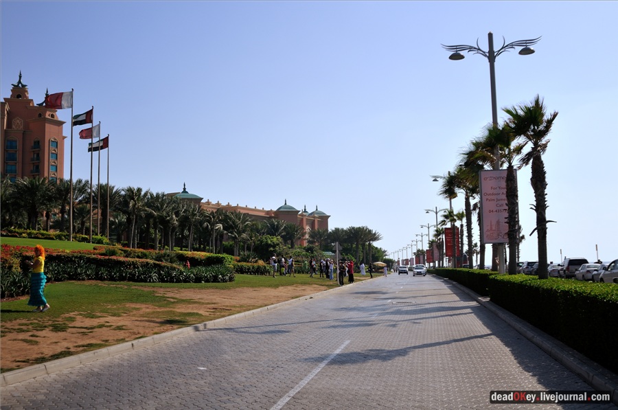 усадьба ОАЭ. Дубаи.