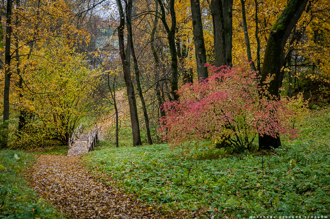 усадьба Ясная Поляна Льва Николаевича Толстого, Тульская область, осенью