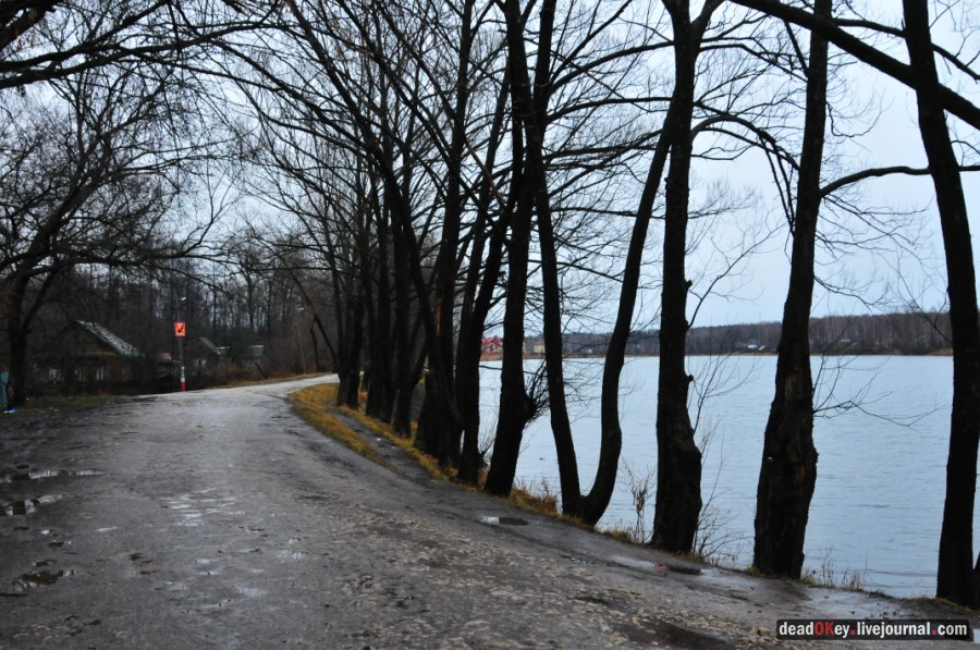 усадьба Каменка