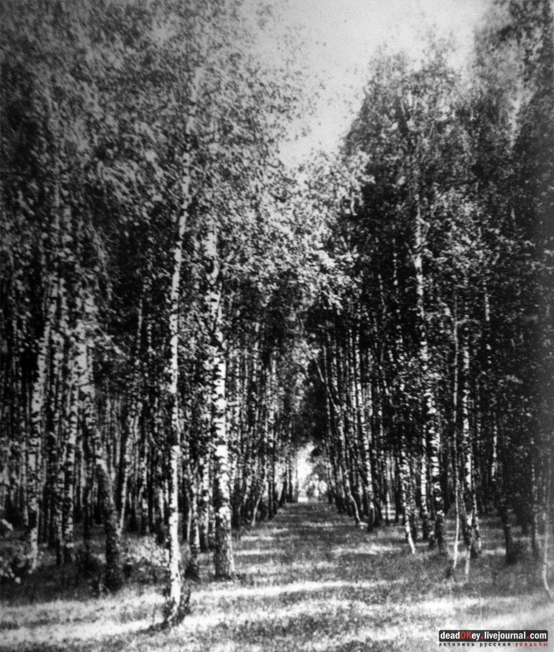 усадьба Дугино (Мещерское, старые фотографии)