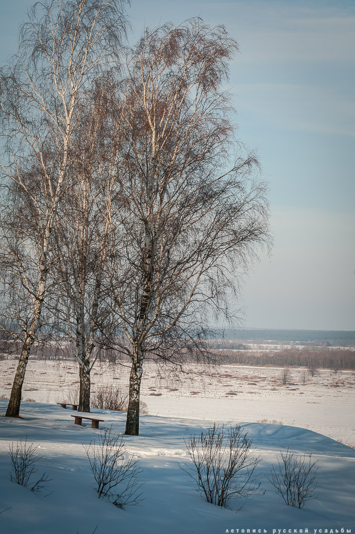 Усадебный экспресс в Константиново