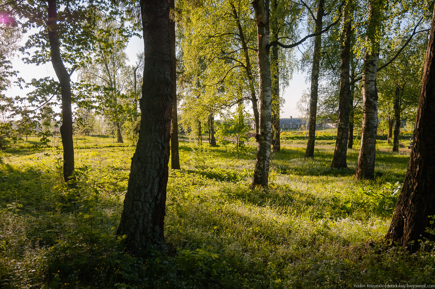усадьба Воронино