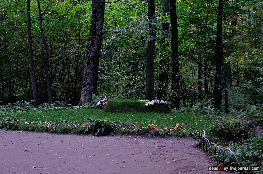 усадьба Ясная Поляна