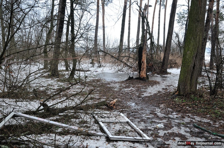 усадьба Иславское