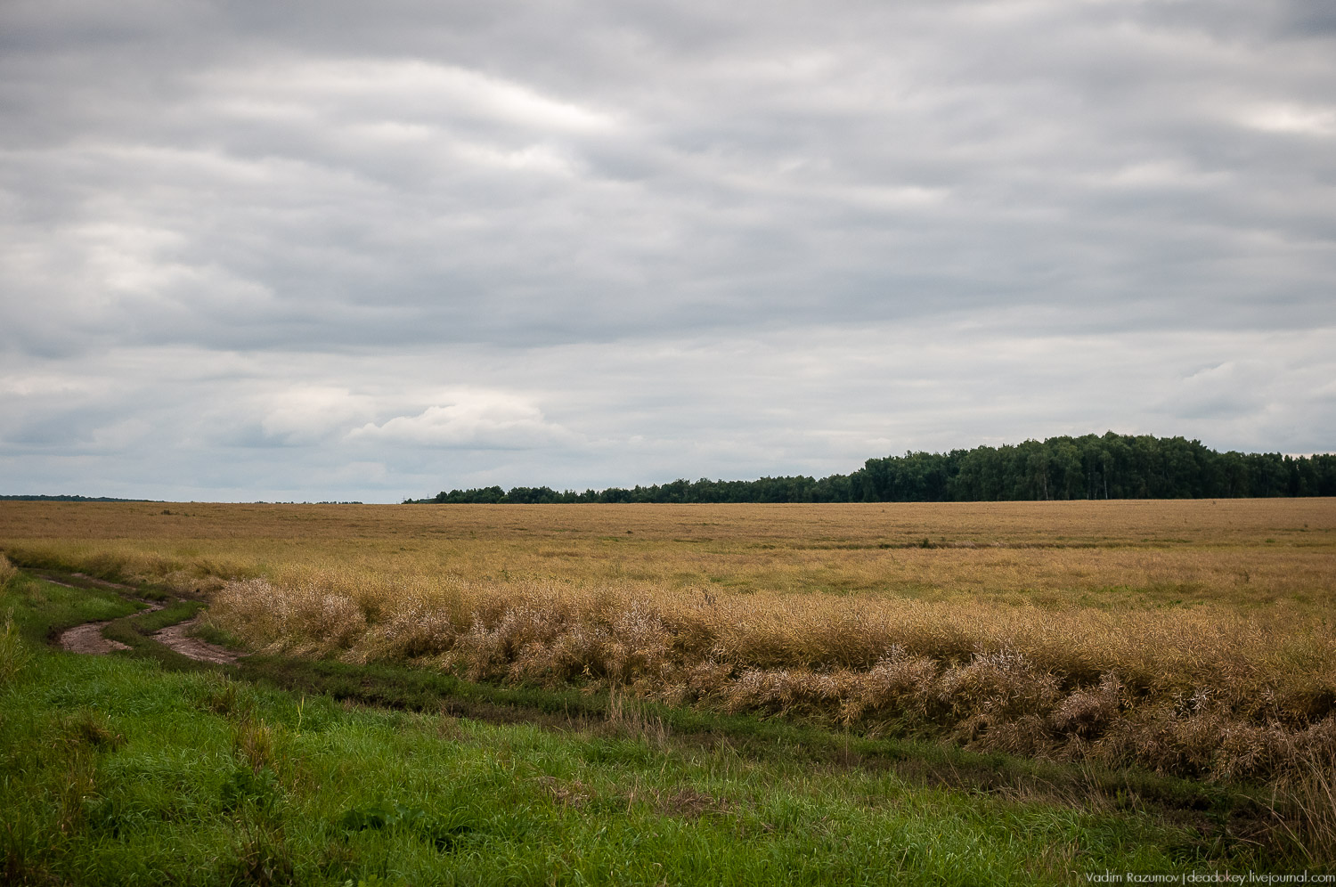 усадьба Даровое, Зарайский район, Ф.М. Достоевский