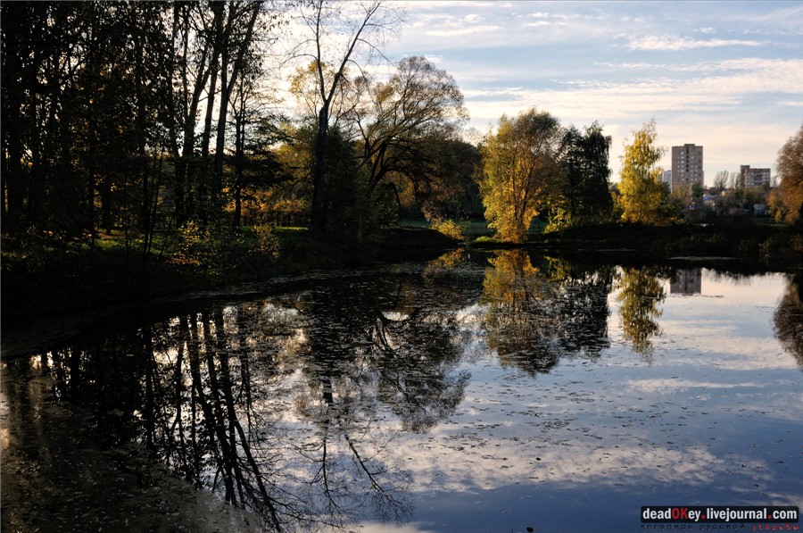 усадьба Петровское-Разумовское