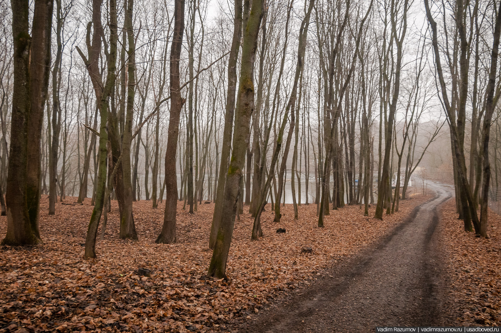 усадьба Борки, Липецкая область