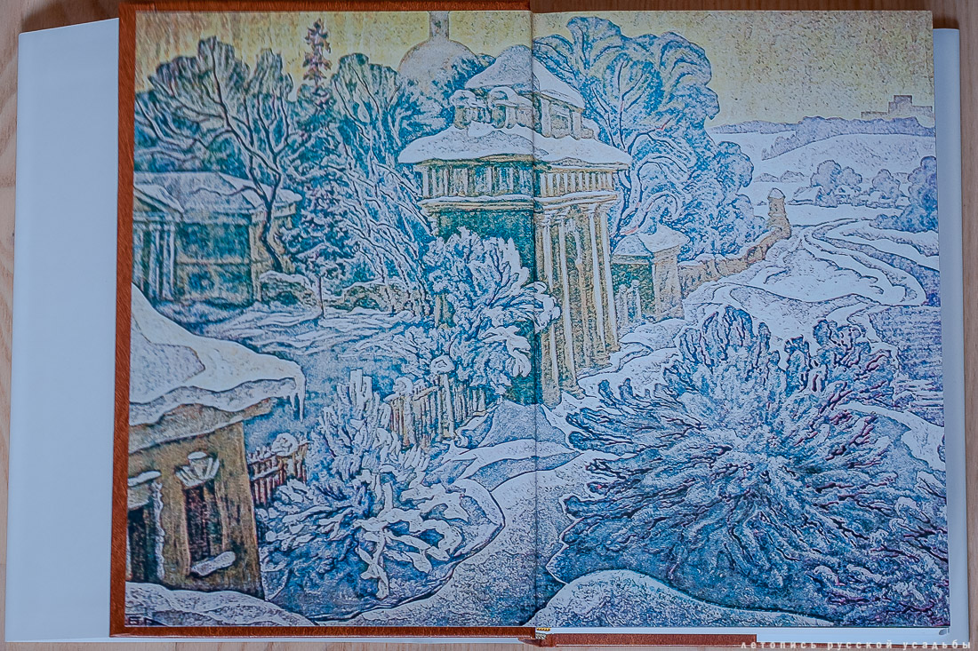 книга Дневник имения-санатория Гребнево, А.Ю. Послыхалин