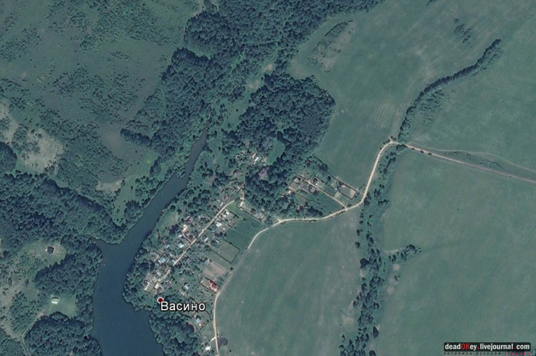 усадьба Васино