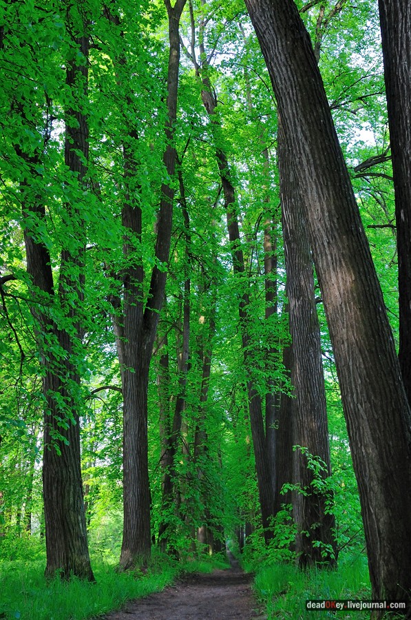 усадьба Мещерское