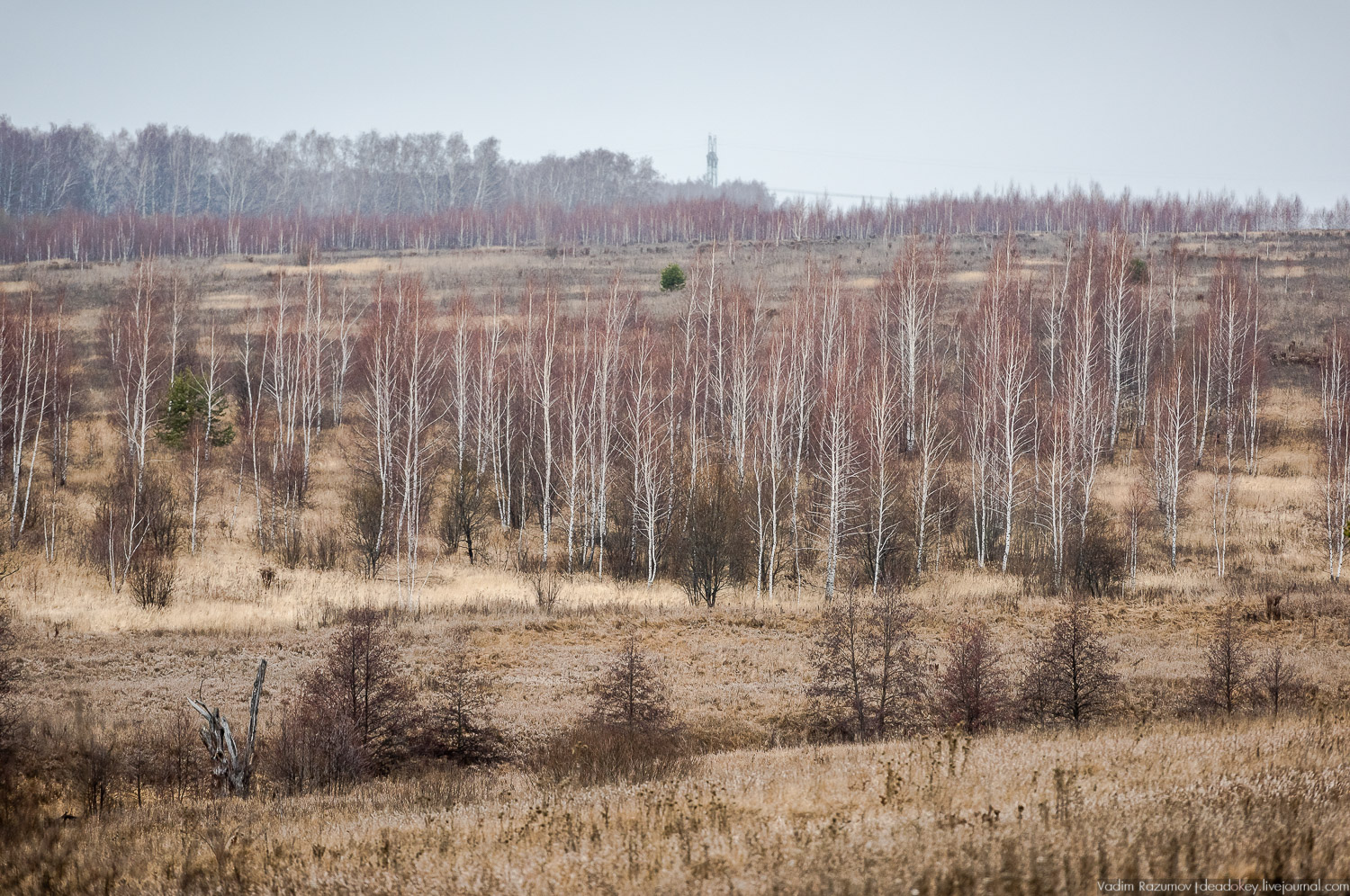 Старое Глазово, Тульская область, каширский уезд, могила архитектора В.И. Баженова