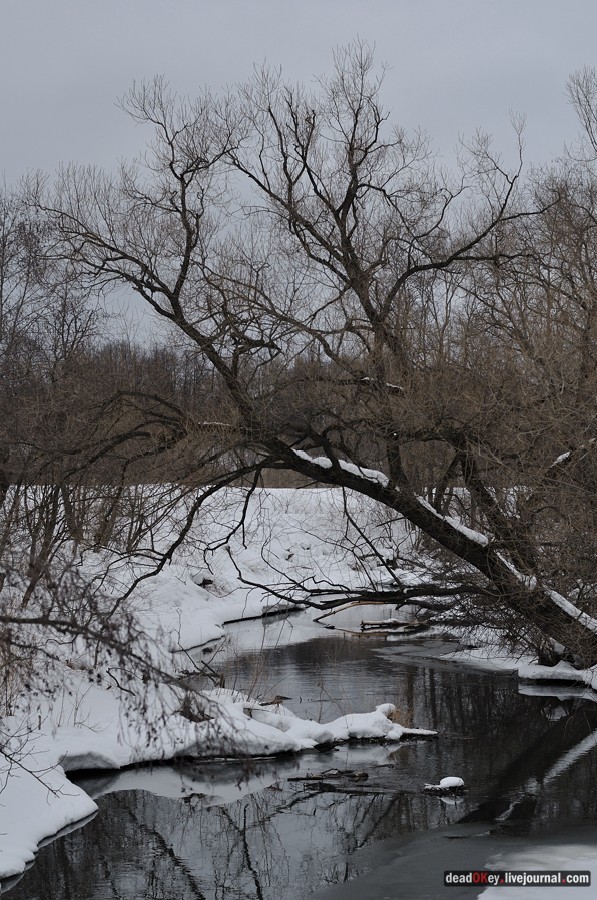 усадьба Воскресенки