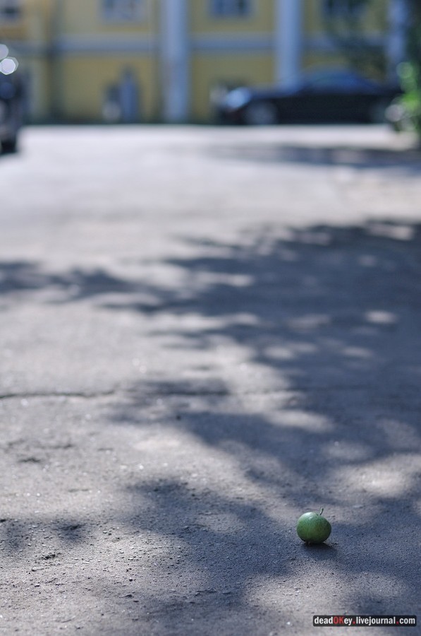 усадьба Соллогуба (городская усадьба Долгоруких или Дом Ростовых) на ул. Поварская д.52