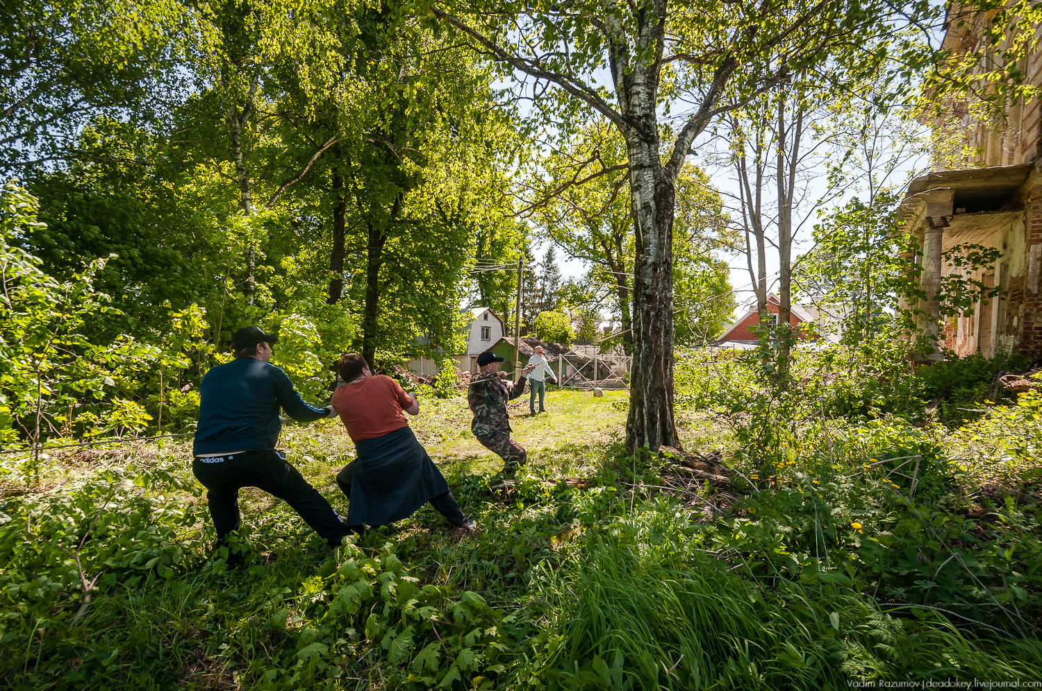 усадьба Сергиевское-на-Упе, Усадебные волонтеры в Тульской области