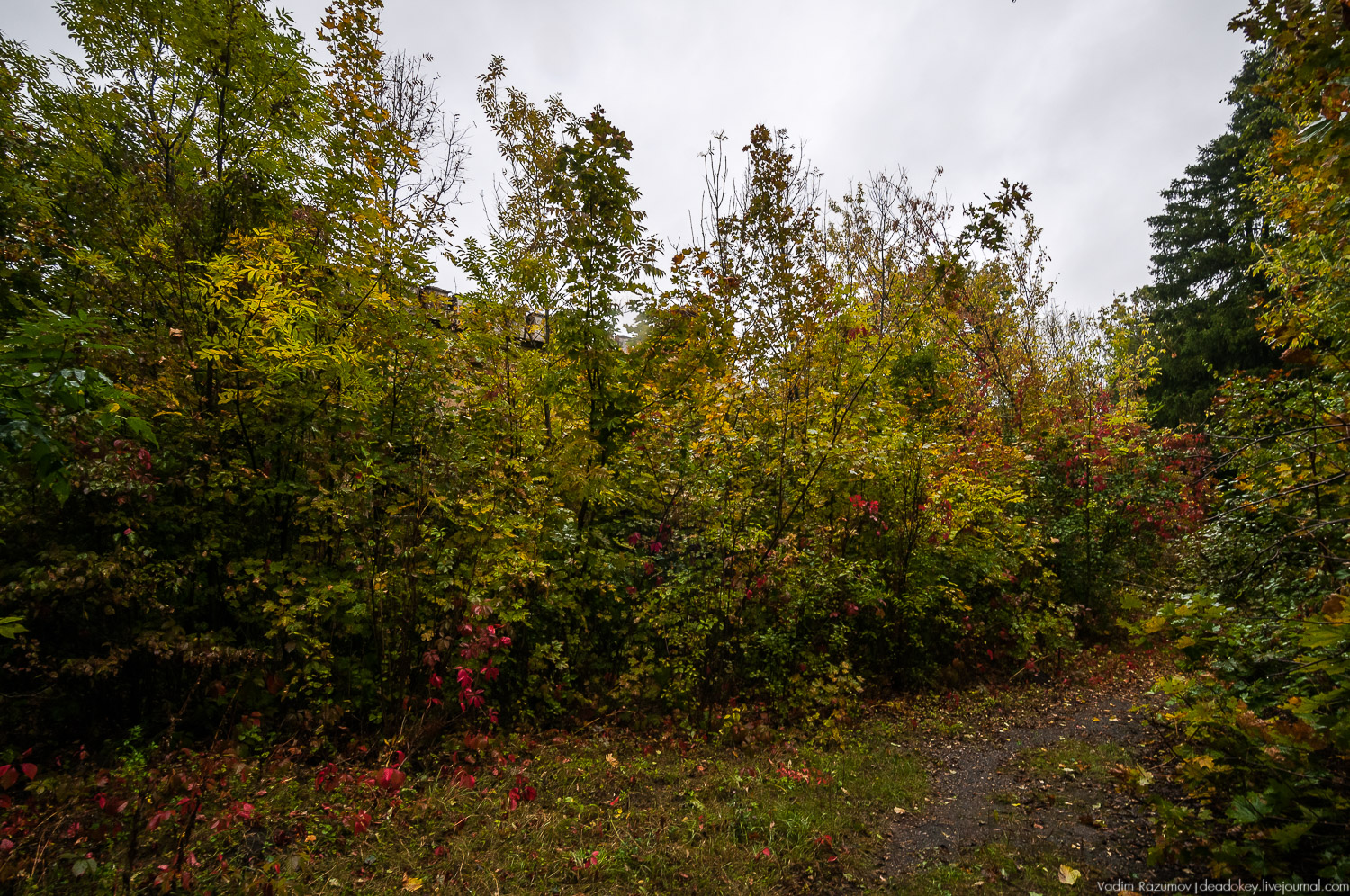 Липецкая область, усадьбы, инвестблогтур 