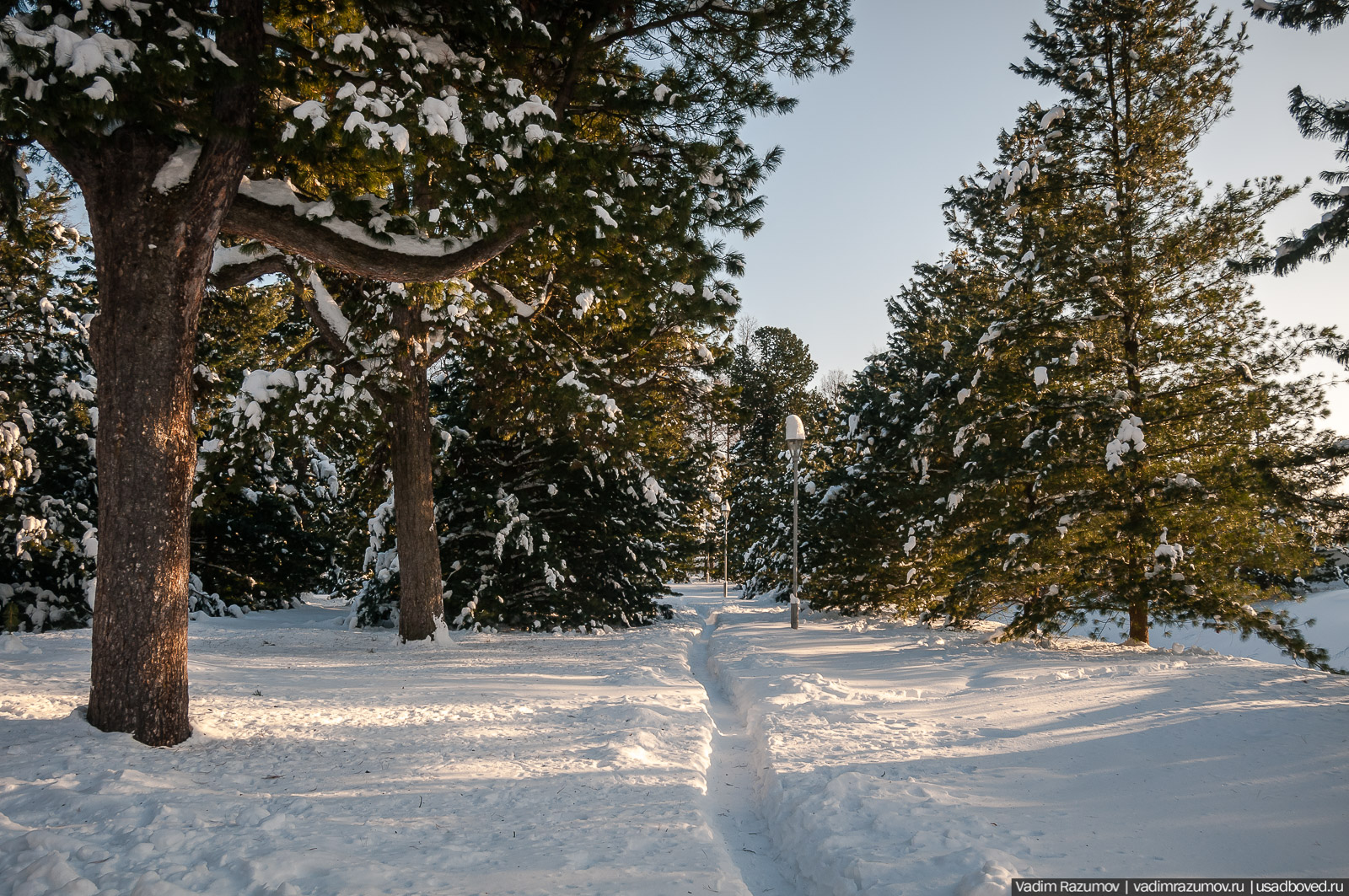Толгский монастырь, Ярославль