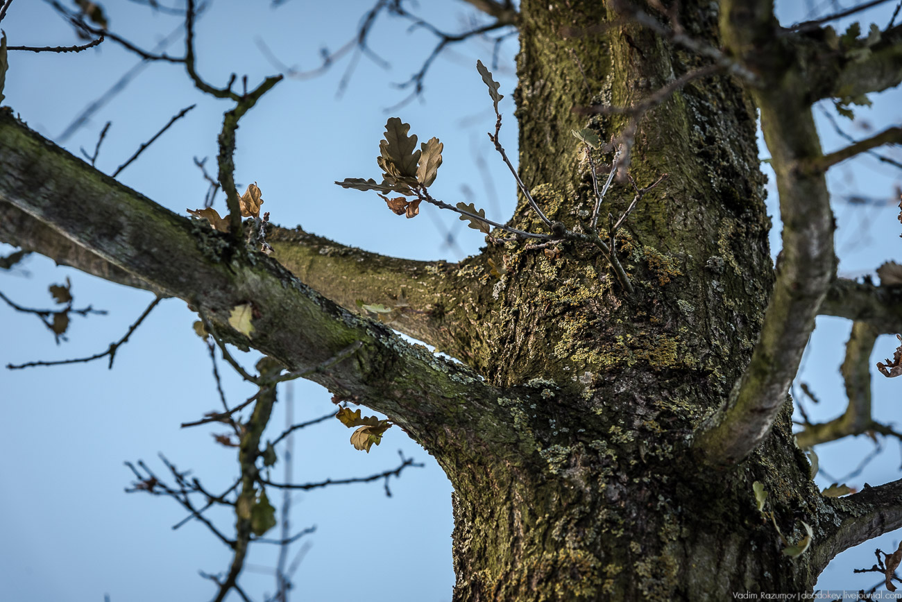 Москва, парк Зарядье