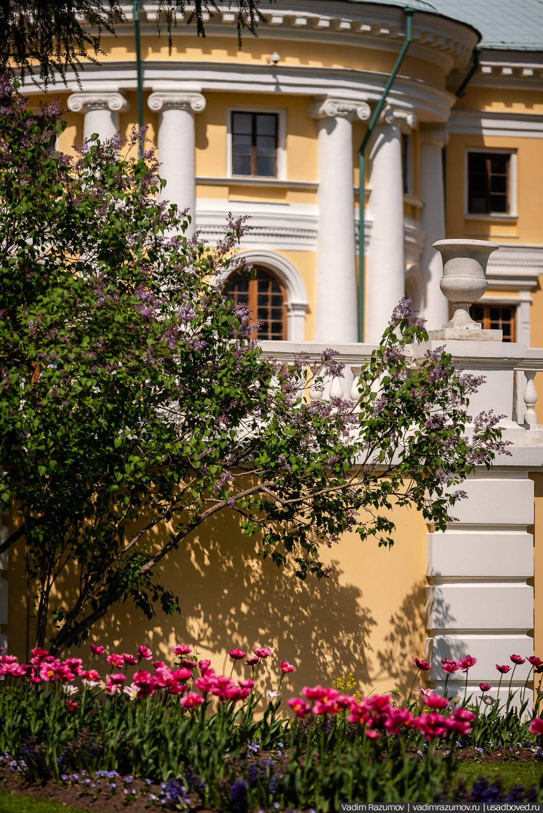 усадьба Архангельское, весна, май 2021