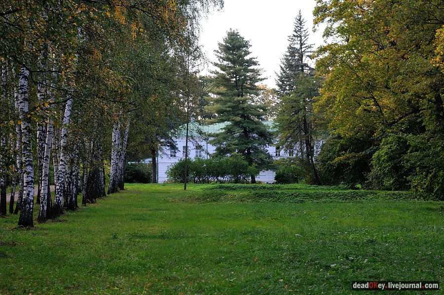 усадьба Ясная Поляна