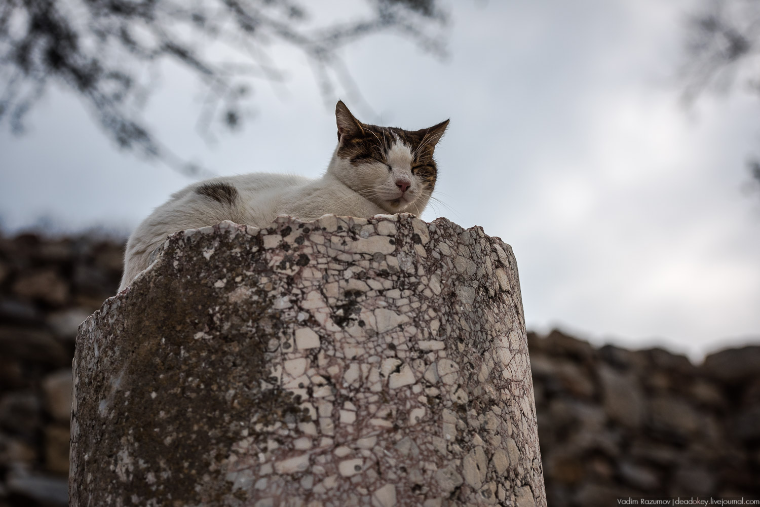 Эфес, античные руины, Турция