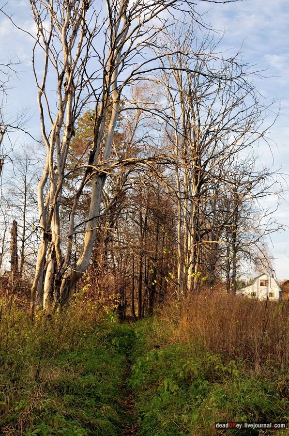 усадьба Бережки