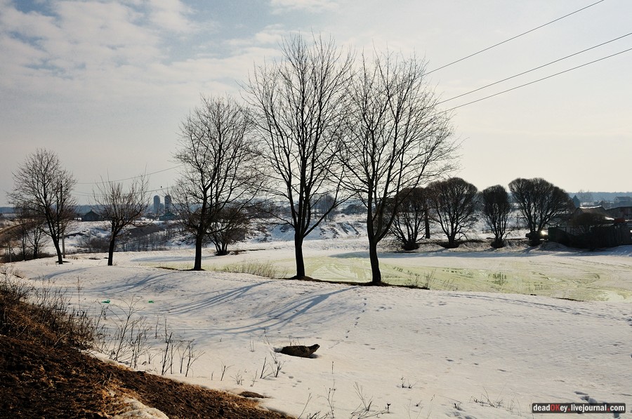 усадьба Даниловское