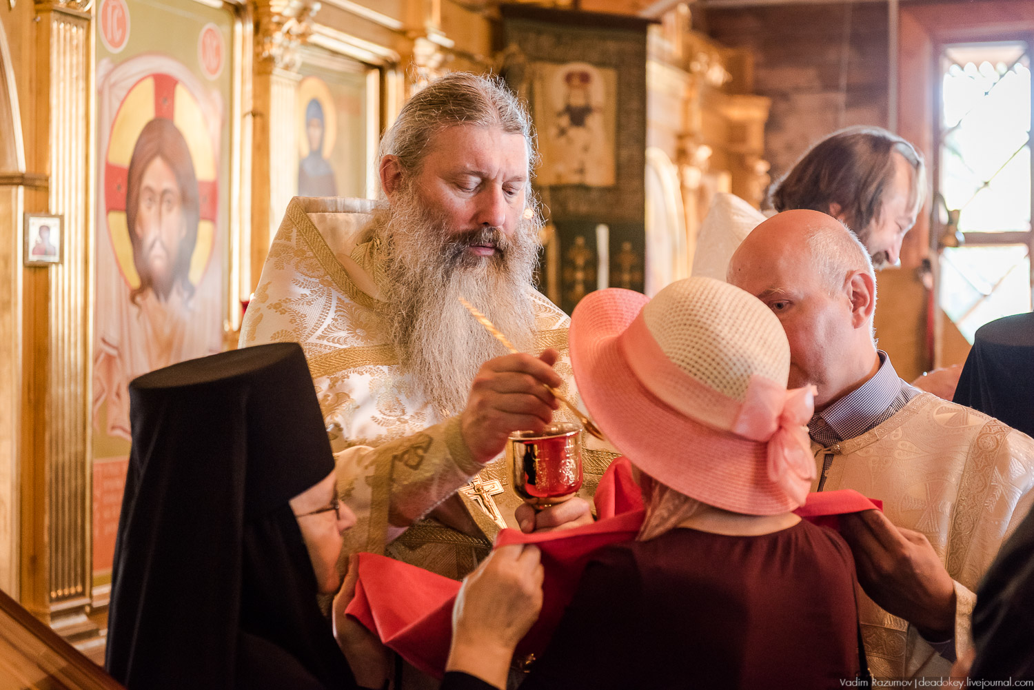 Крестный ход, Красное Село - скит Тихона Задонского, 26 августа 2019 года