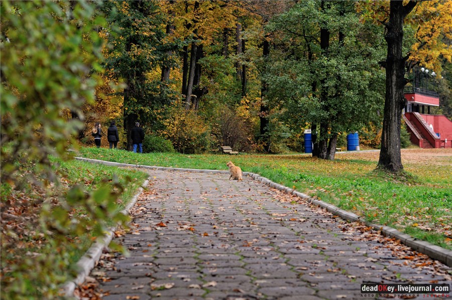 усадьба Марфино