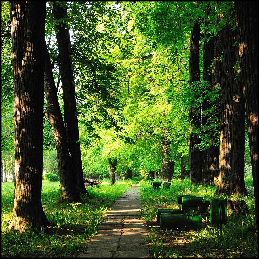 Парковые аллеи в русских усадьбах