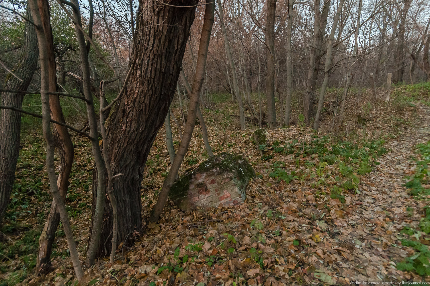 Богородицк, заброшенное здание бани