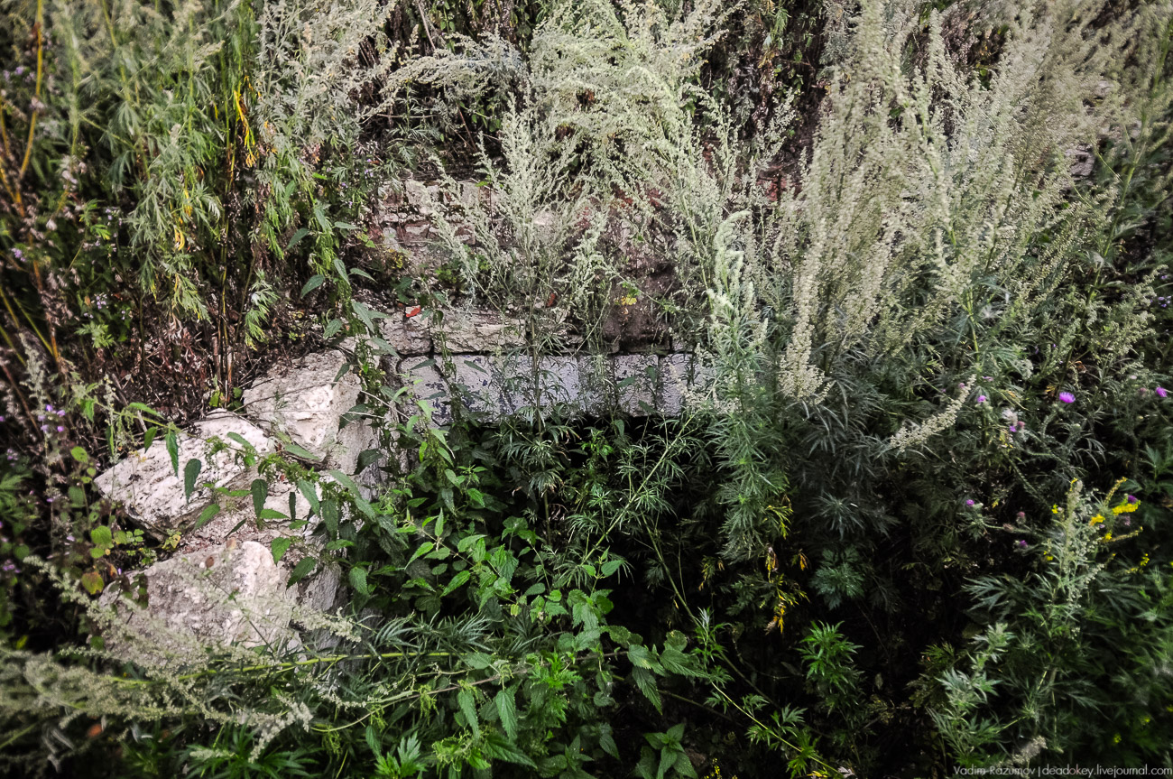 усадьба Колодезское