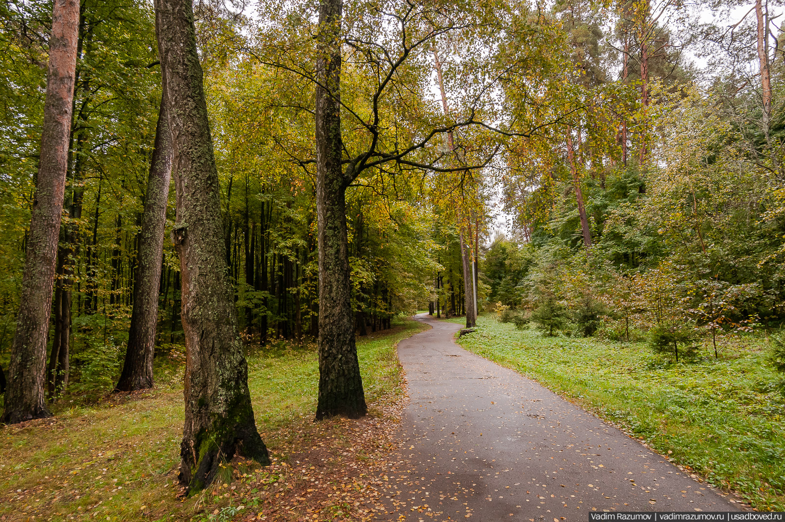 усадьба Васильевское (Марьино) Щербатовых, Рузский район, Московская область