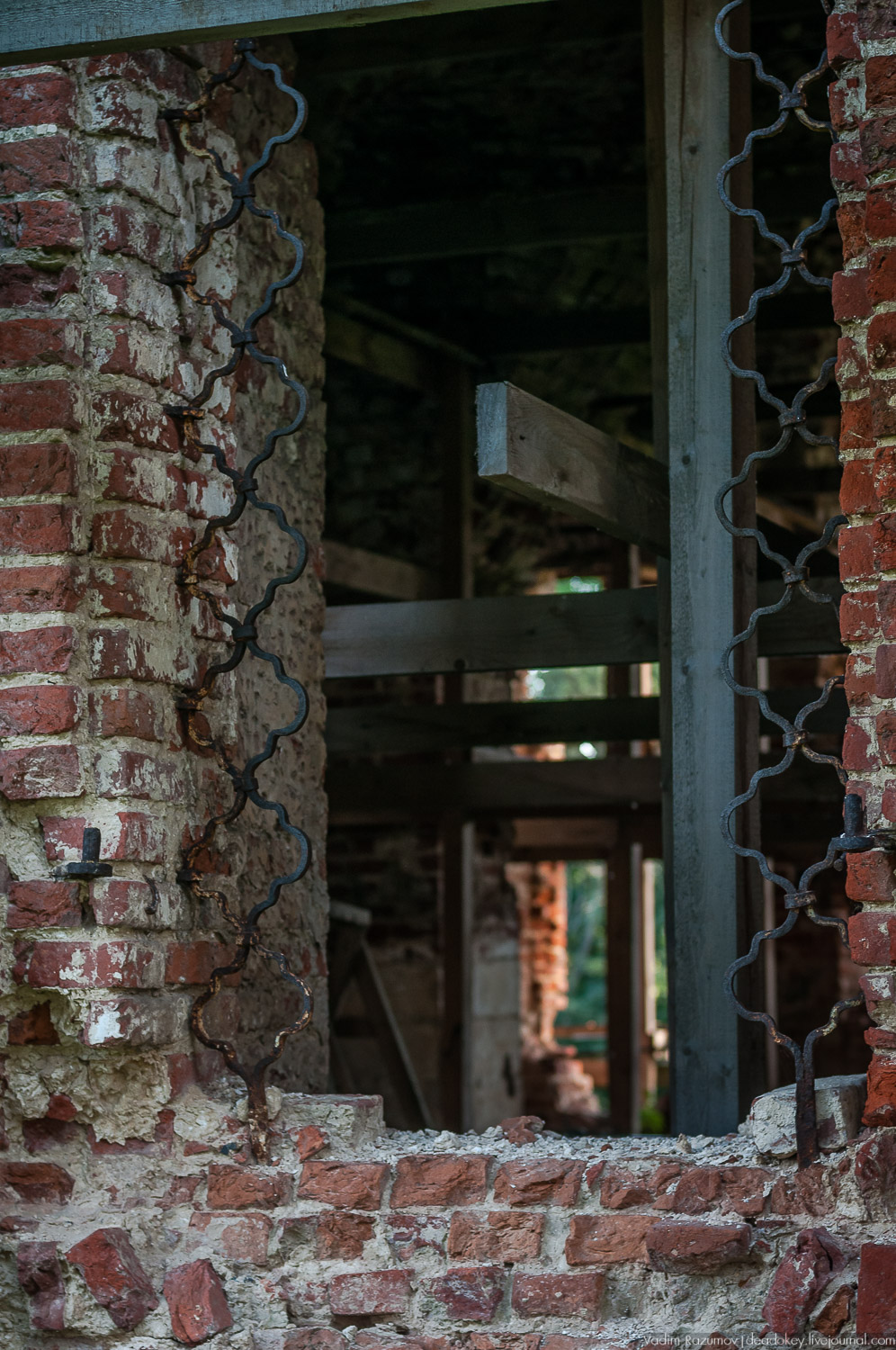 усадьба Даровое, Зарайский район, Ф.М. Достоевский